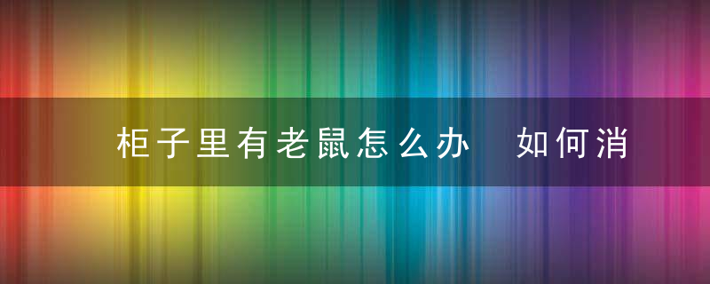 柜子里有老鼠怎么办 如何消灭老鼠